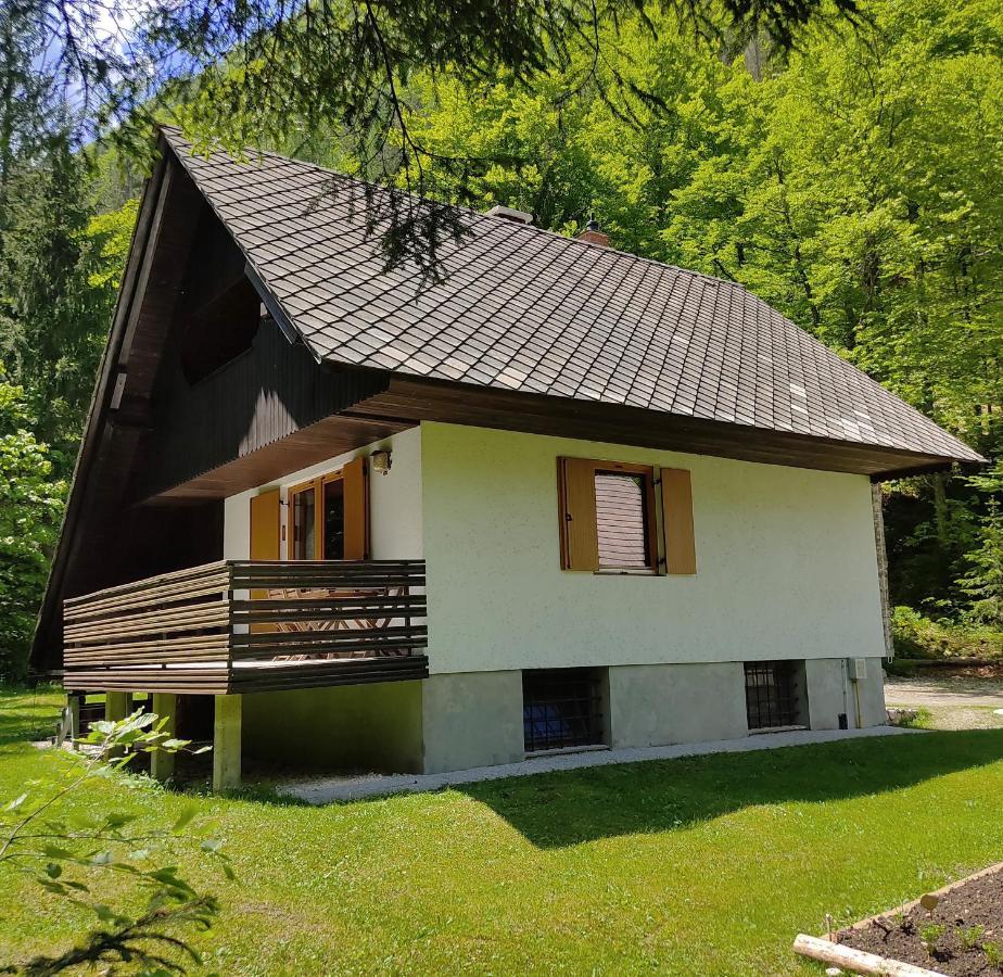 Chalet Via Mons 莫斯特拉纳 外观 照片
